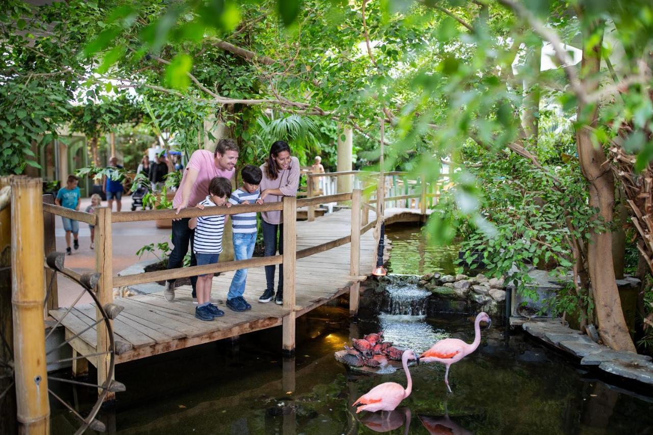 Center Parcs Port Zelande Beach Ouddorp Exterior foto